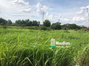 ~ 42tr/m2) biệt thự mặt tiền ĐST Nhà Bè
