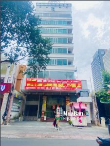 Cho Thuê Toà Nhà Mặt Tiền Mạc Đĩnh Chi Quận 1