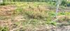 ban-2200m2-dat-tho-cu-ngay-thi-tran-tan-phuoc-tien-giang-cach-tp-hcm-60km-2-tr/m2 - ảnh nhỏ 2