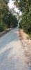 ban-2200m2-dat-tho-cu-ngay-thi-tran-tan-phuoc-tien-giang-cach-tp-hcm-60km-2-tr/m2 - ảnh nhỏ 3